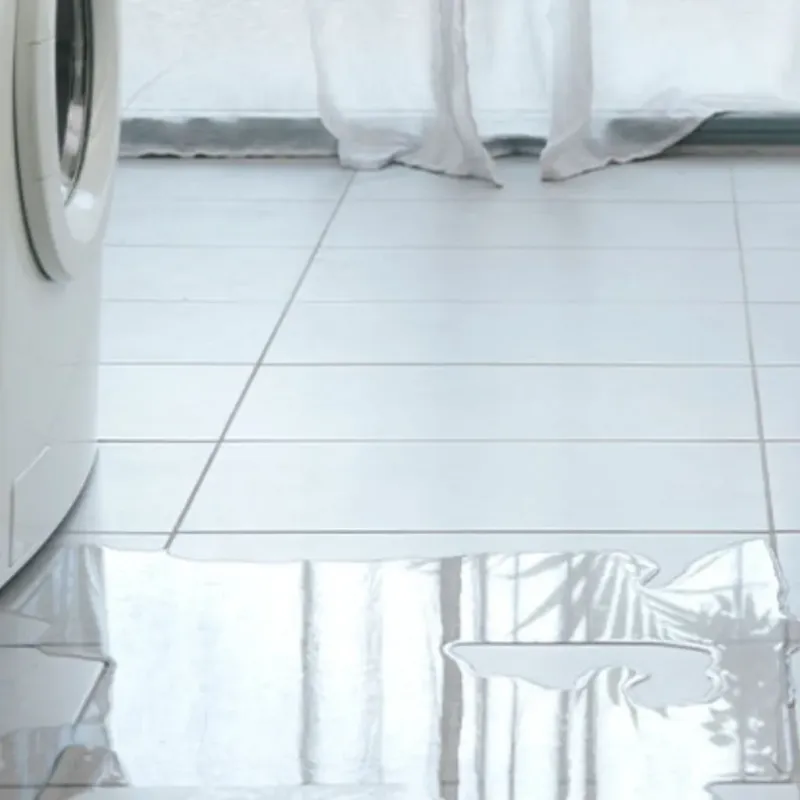 Appliance Leak Cleanup in Berrien County, GA