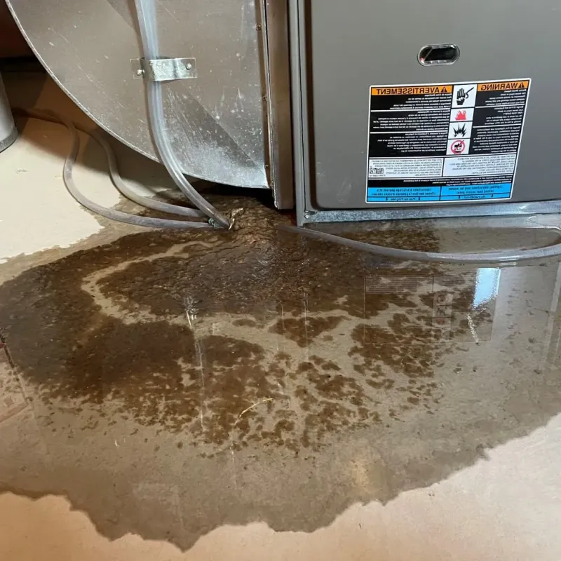 Pipe Burst and Leak Restoration in Berrien County, GA