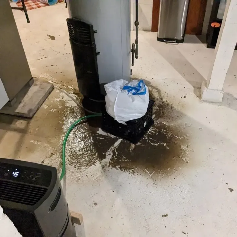 Sewage Backup Cleanup Service in Berrien County, GA
